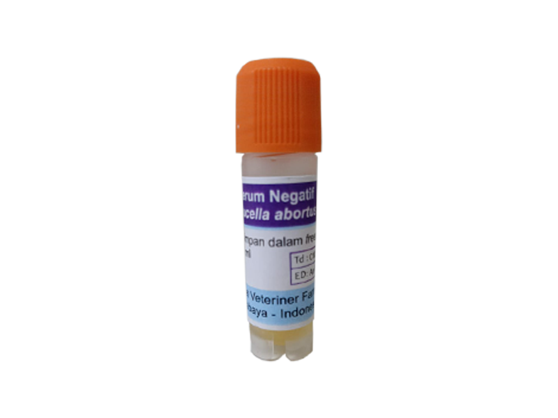 Serum (-) Brucella